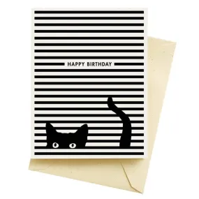 Cat Stripes Birthday Card by Seltzer Goods